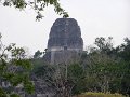 019. Tikal 9
